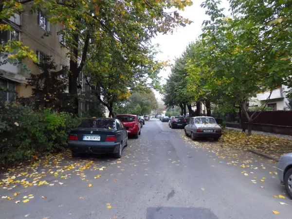 Strada Charles Darwin