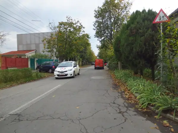 Strada Cosminului
