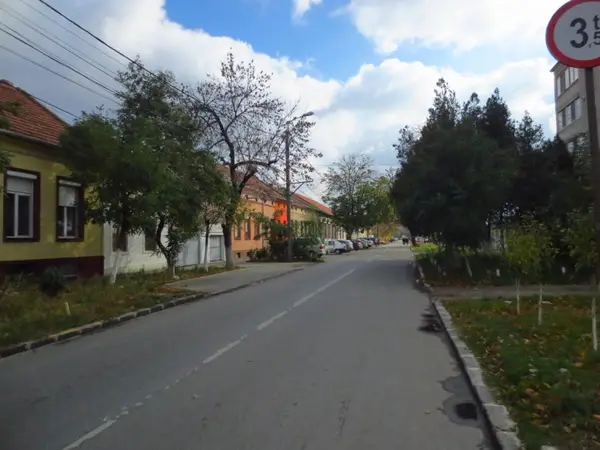Strada Crizantemelor