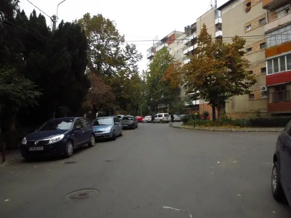 Strada Delfinului