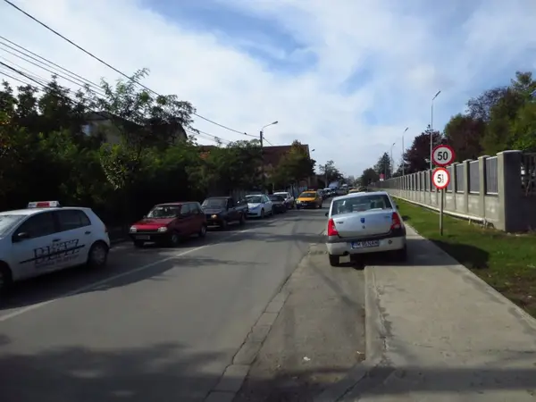 Strada Dr. Grigore T. Popa