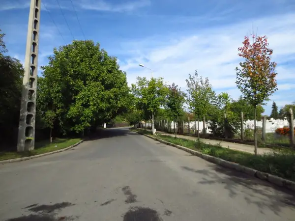 Strada Dr. Robert Koch