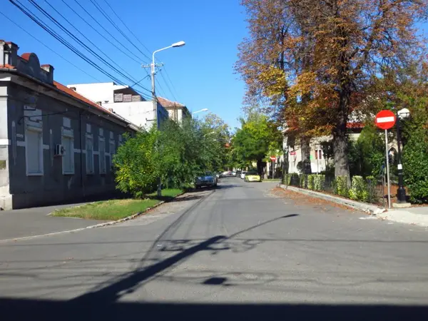 Strada Evlia Celebi (Paltinis)