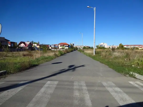 Strada Florin Medelet