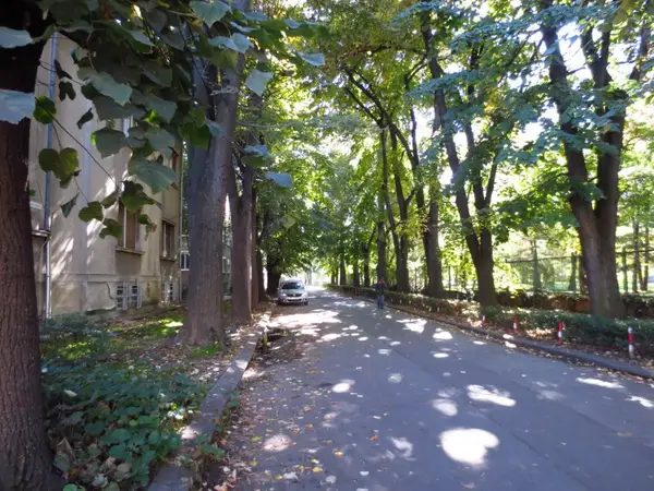 Strada George Enescu
