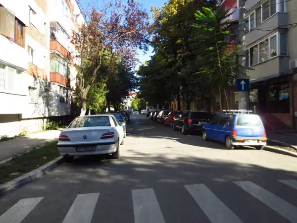 Strada Gheorghe Ostrogovich