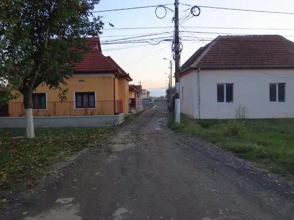 Strada Grigore Antipa