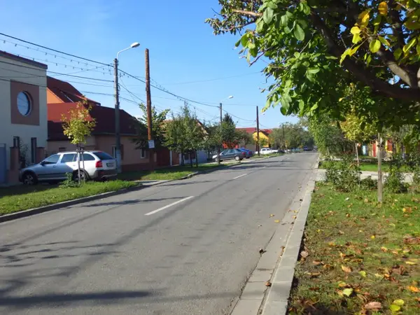 Strada Horia