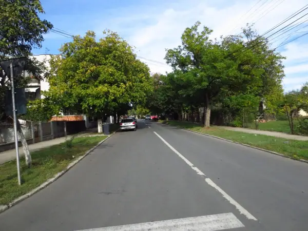 Strada Ion Roata