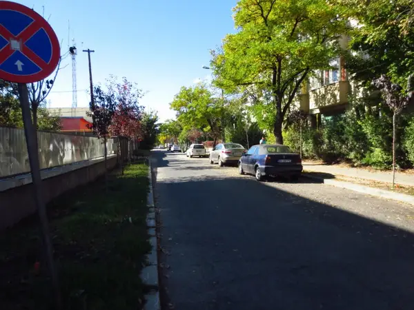 Strada Ion Vidu