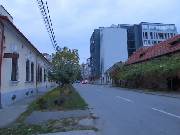Strada Lalelelor