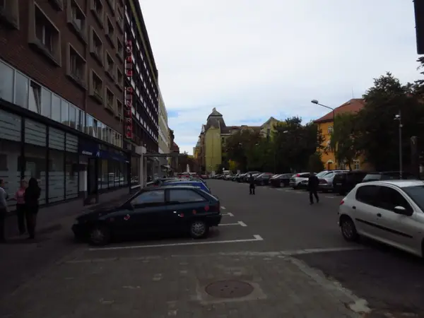 Strada Nicolaus Lenau