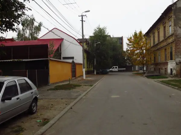 Strada Leului
