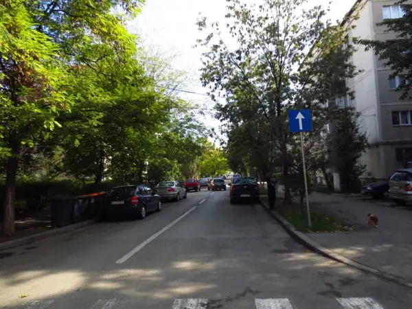 Strada Martir Constantin Zabulica