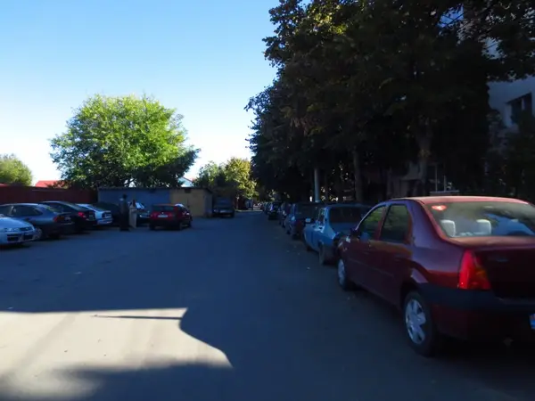 Strada Martir Dan Carpin