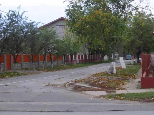 Strada Micsunelelor