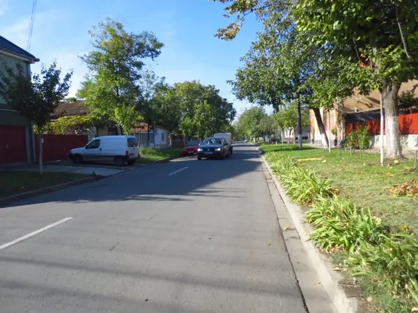 Strada Mircea Cel Batran