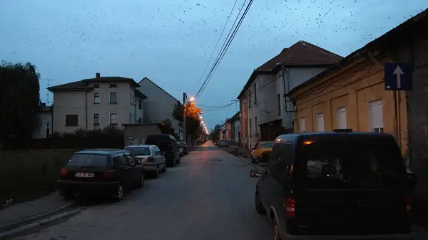 Strada Moise Nicoara