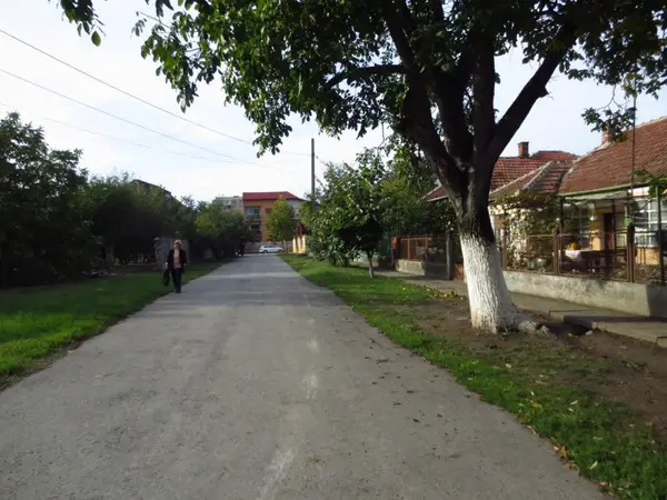 Strada Molidului