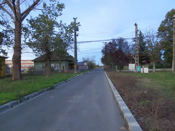Strada Olarilor