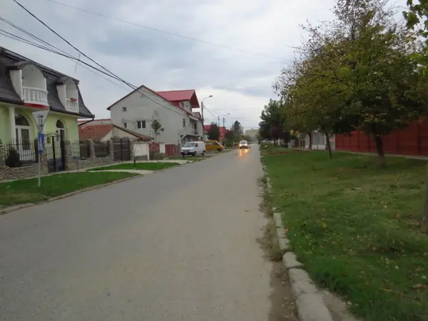 Strada Palmierilor