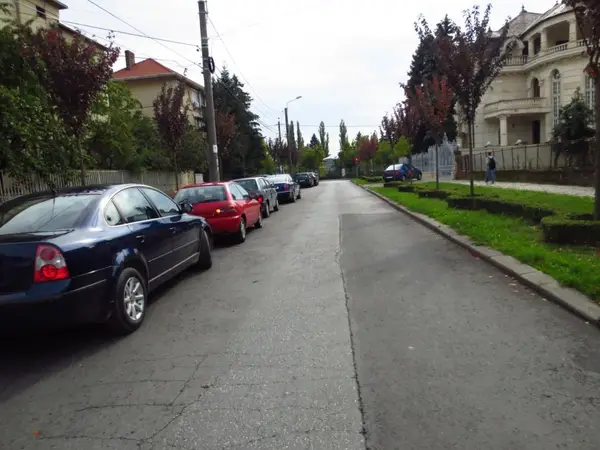 Strada Patriarh Miron Cristea