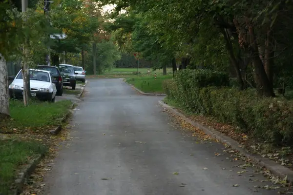 Strada Petru Sfetca