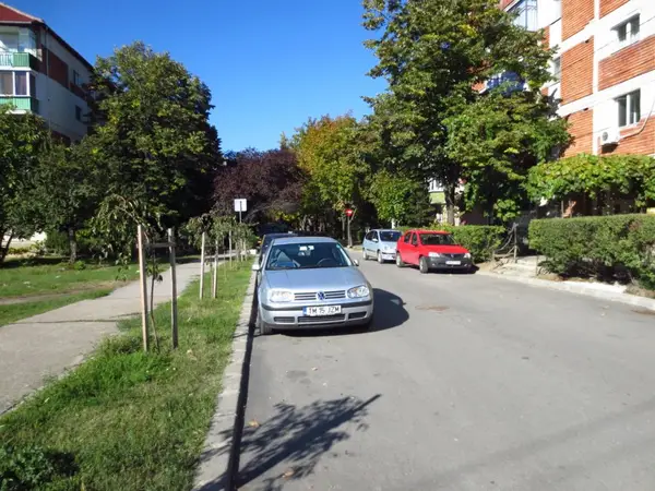 Strada Rasaritului