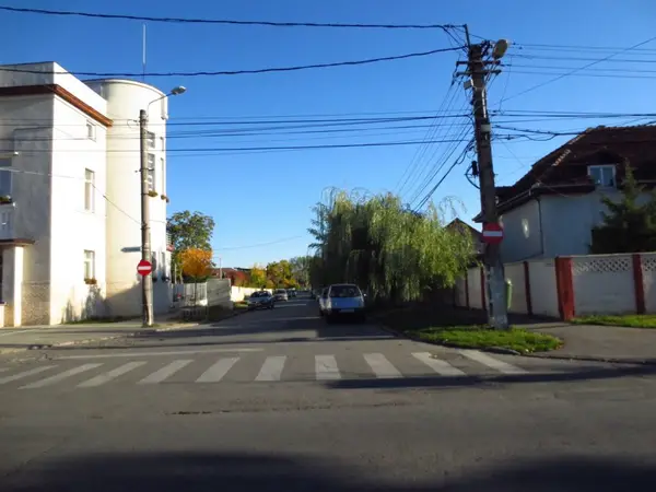 Strada Renasterii