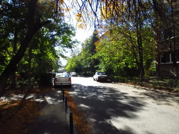 Strada Salciei