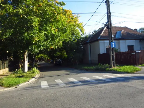 Strada Samuil Micu