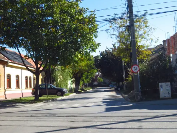 Strada Sava Petrovici