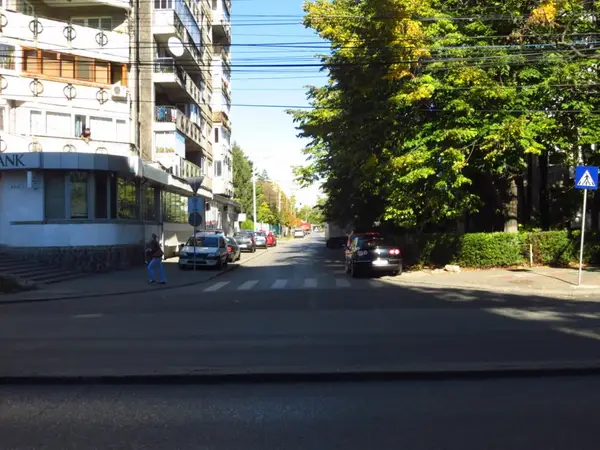 Strada Teiului