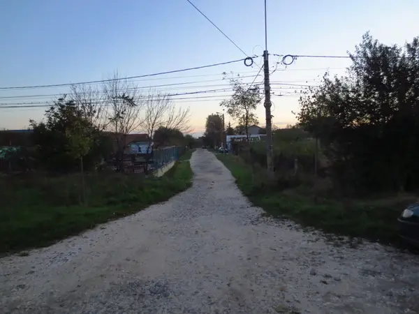 Strada Theodor Pallady