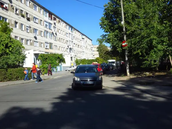 Strada Timis