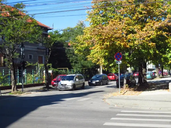 Strada Traian Lalescu