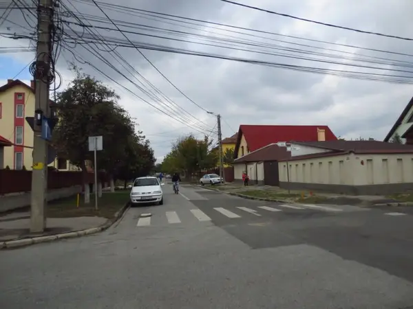 Strada Traian Vuia
