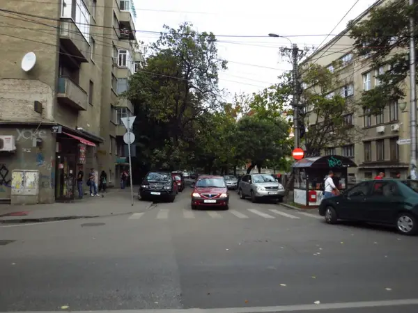 Strada Vasile Goldis