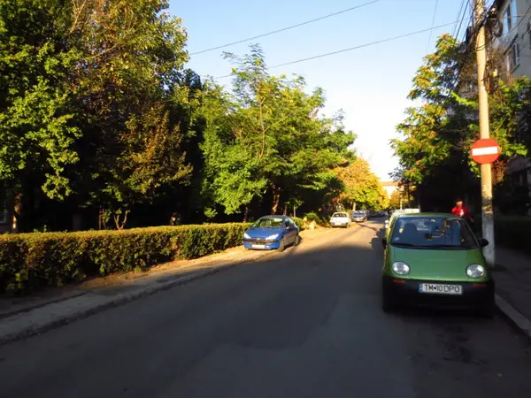Strada Vasile Lucaci
