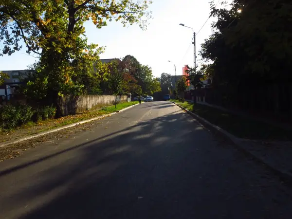 Strada Virtutii