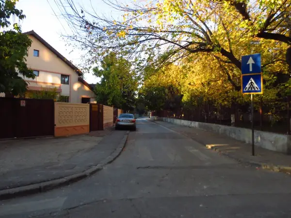 Strada Teodor Mihaly