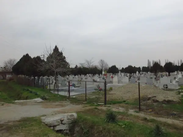 Cimitirul Freidorf