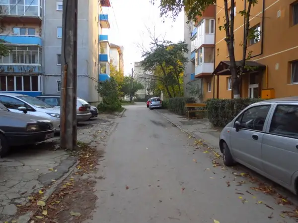 Intrarea Kodaly Zoltan