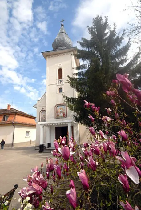 Manastirea Timiseni