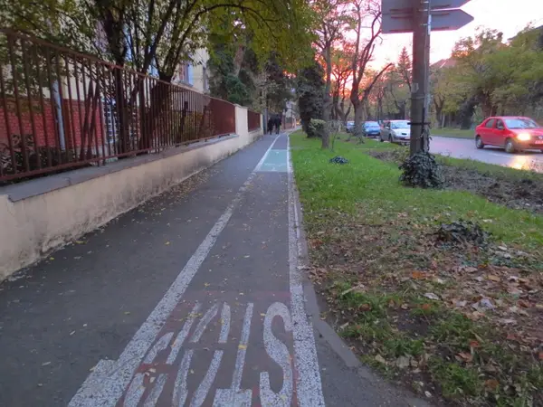 Pista bicicleta - Bulevardul Constantin Diaconovici Loga