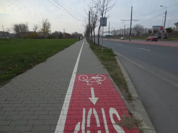 Pista bicicleta - Bulevardul Doctor Iosif Bulbuca
