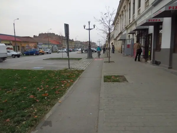 Pista bicicleta - Bulevardul Regele Carol