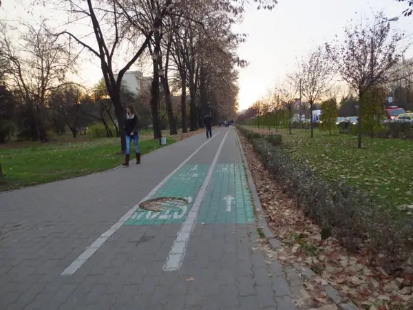 Pista bicicleta - Bulevardul Vasile Parvan