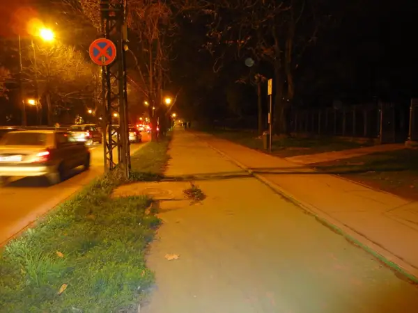 Pista bicicleta - Calea Alexandru Ioan Cuza