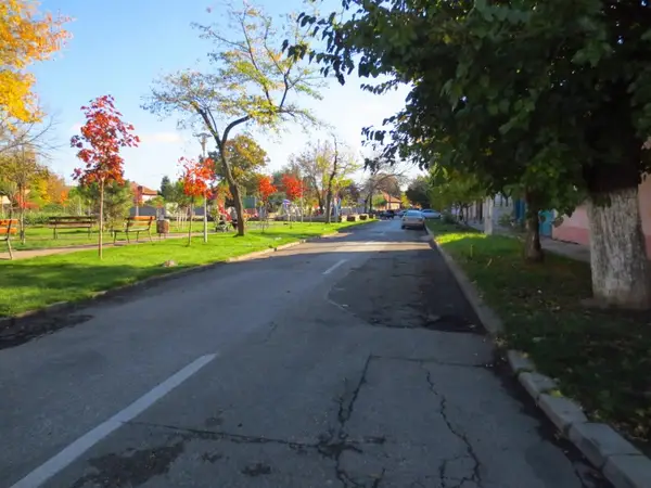 Strada Alecu Russo